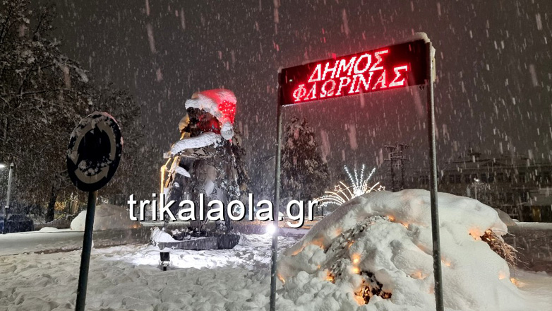 Ισχυρή χιονόπτωση στη Φλώρινα