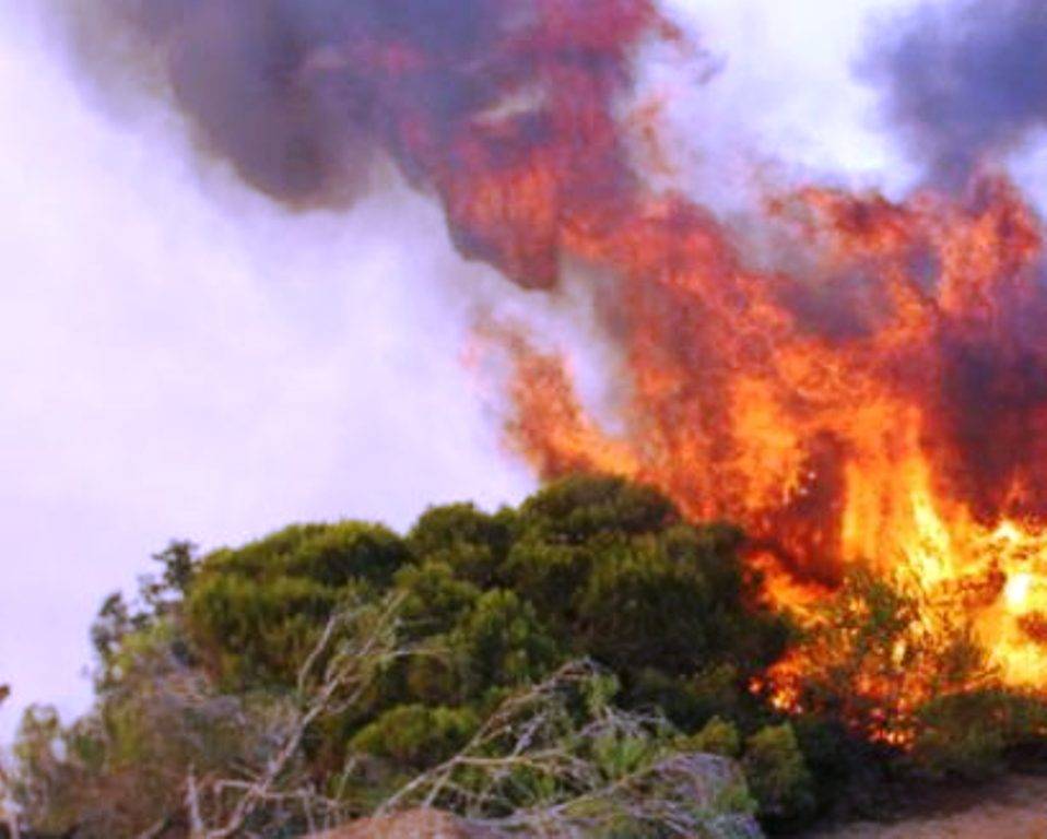 ΠΡΟΣΟΧΗ: Υψηλός κίνδυνος πυρκαγιάς σήμερα Παρασκευή σε Αχαΐα, Ηλεία, Αιτωλοακαρνανία