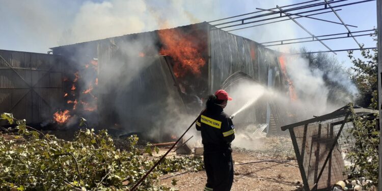 Αιτωλοακαρνανία: Καταστροφική φωτιά σε κτηνοτροφική μονάδα - Κάηκαν πρόβατα και χιλιάδες μπάλες τριφύλλι (ΦΩΤΟ)