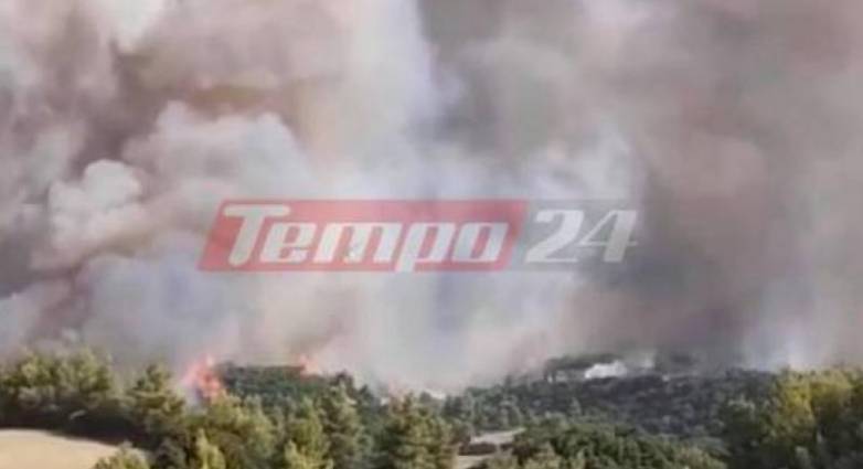 Κίνδυνος πυρκαγιάς σήμερα για Αχαΐα - Ηλεία ΠΙΝΑΚΑΣ