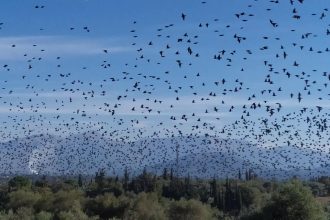 Έρχεται το πρώτο PATRAS ART FESTIVAL