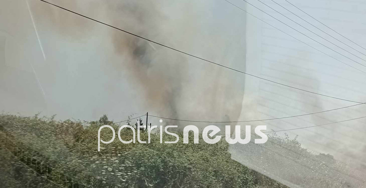 Ηλεία: Πυρκαγιά στο Αυγείο – Απειλήθηκε σπίτι