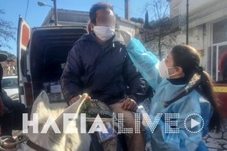 Πήγαν για rapid test με το γαϊδούρι!