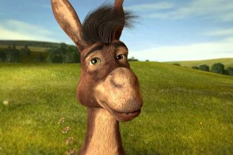 Ο γάιδαρος… στο Δημοτικό Συμβούλιο!