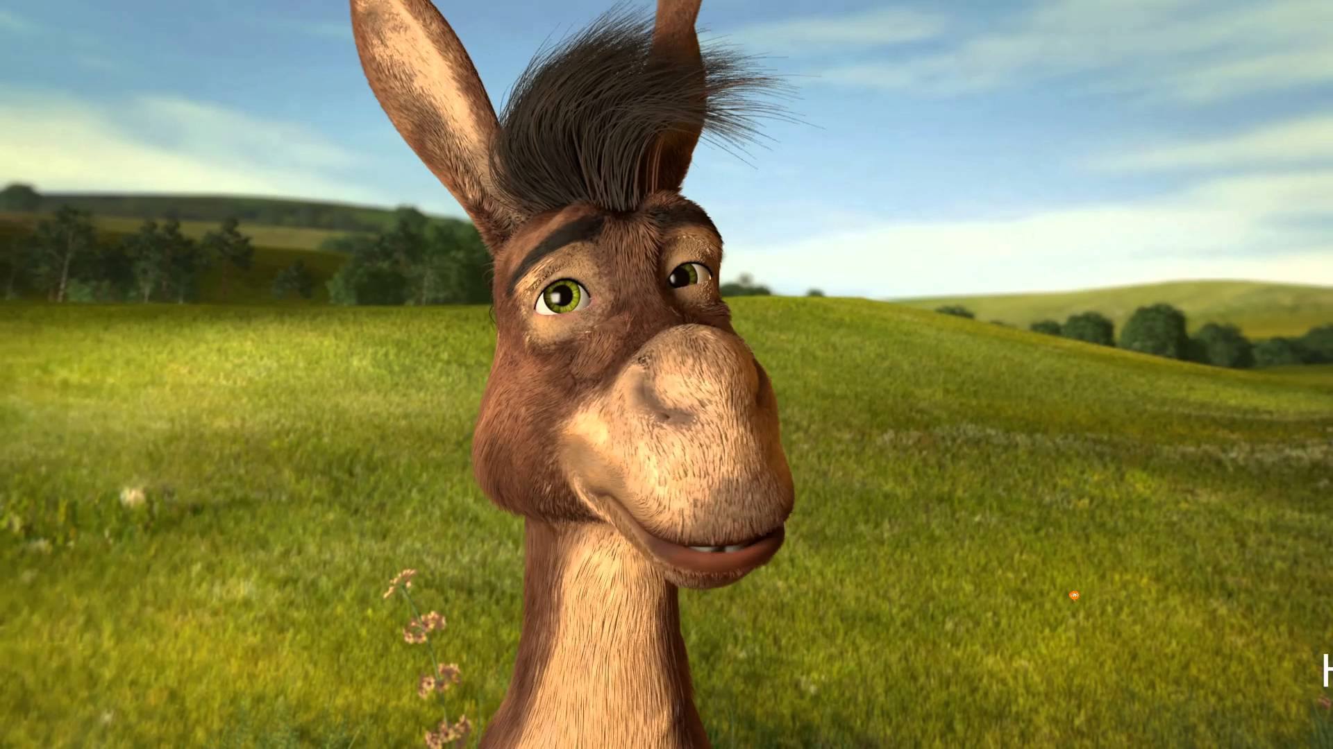 Ο γάιδαρος… στο Δημοτικό Συμβούλιο!