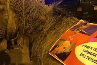 Ο γάιδαρος έφαγε πρόστιμο 200 ευρώ και... αφέθηκε ελεύθερος- ΒΙΝΤΕΟ