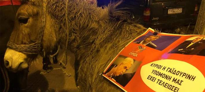 Ο γάιδαρος έφαγε πρόστιμο 200 ευρώ και... αφέθηκε ελεύθερος- ΒΙΝΤΕΟ