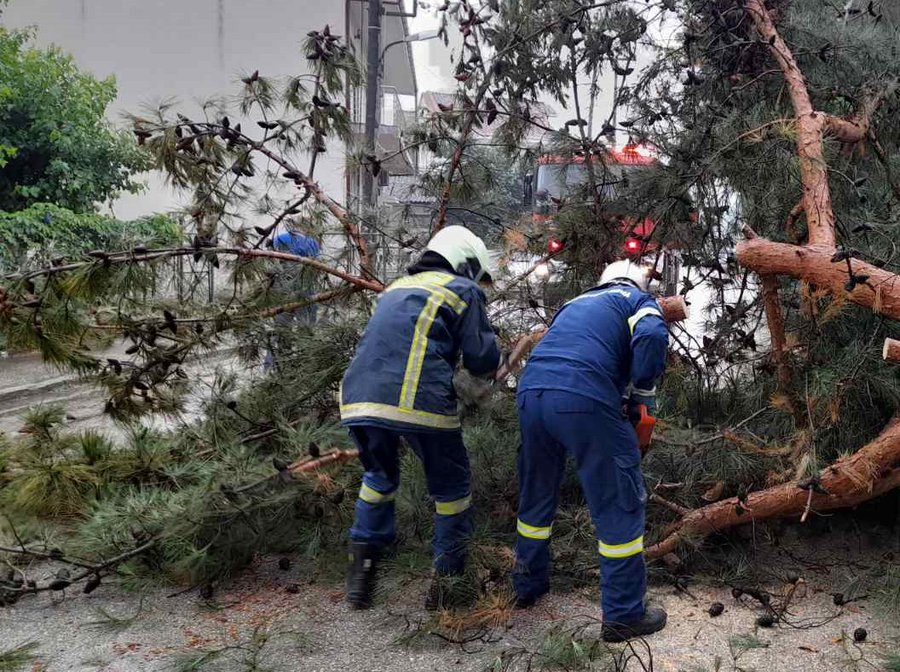 Ισχυροί άνεμοι σαρώνουν Ήπειρο, Στερεά και Θεσσαλία - Προκλήθηκαν σοβαρά προβλήματα