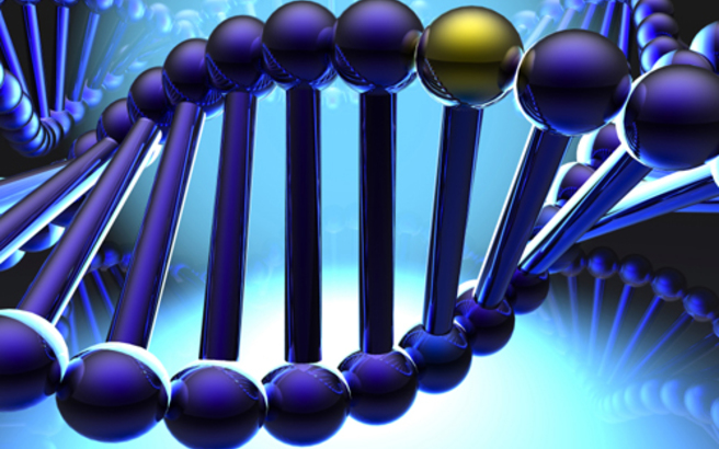 Τα γονίδια ζουν για λίγο και μετά το θάνατο