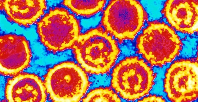 Νέα θεραπεία γενετικής τεχνολογίας καταπολεμά την έρπη