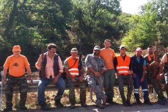 Ειδική ομάδα κυνηγιού της αλεπούς στην Ηλεία! Ποιος είναι ο σκοπός της