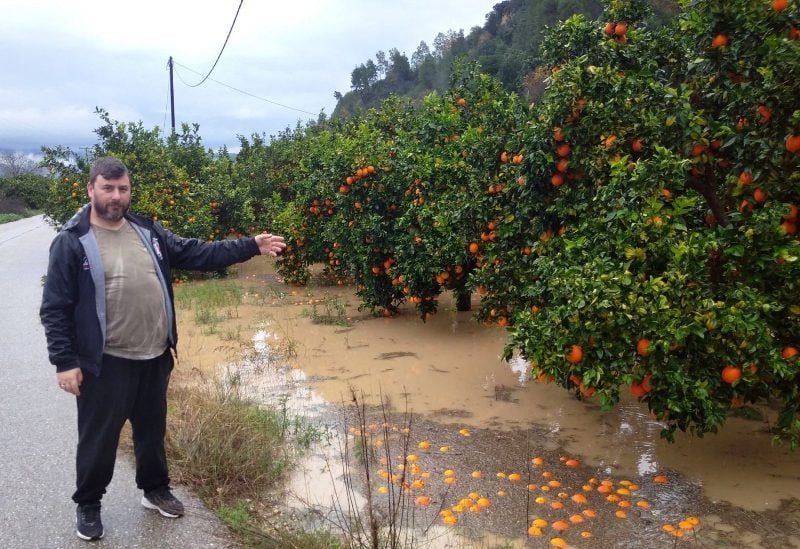 Ηλεία: Μεγάλες καταστροφές σε ελιές και εσπεριδοειδή από το χαλάζι