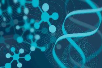 Γονίδιο επηρεάζει πόσο νέος ή γερασμένος φαίνεσαι