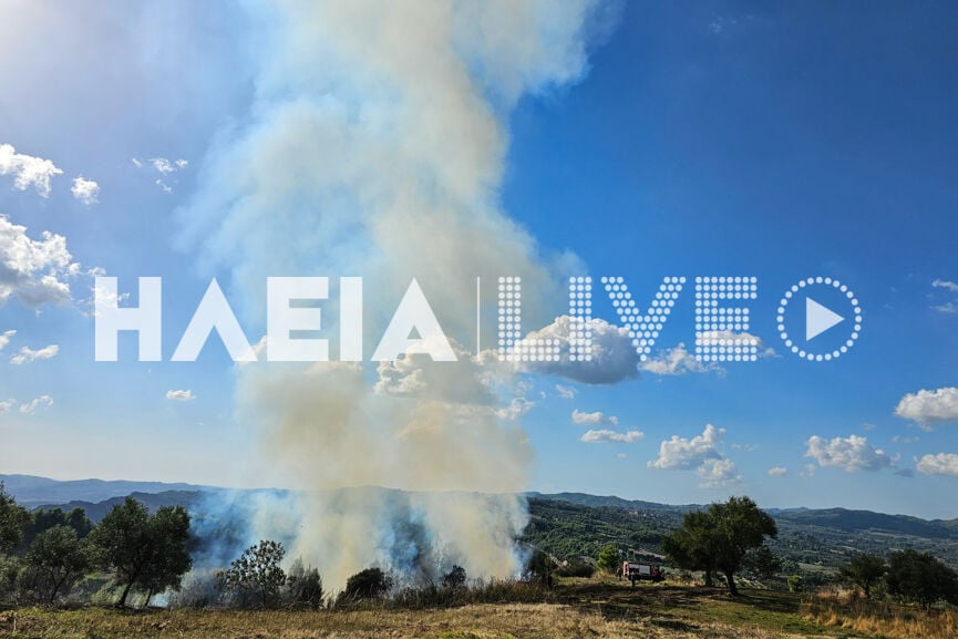 Ηλεία: Δασική πυρκαγιά στο Γούμερο
