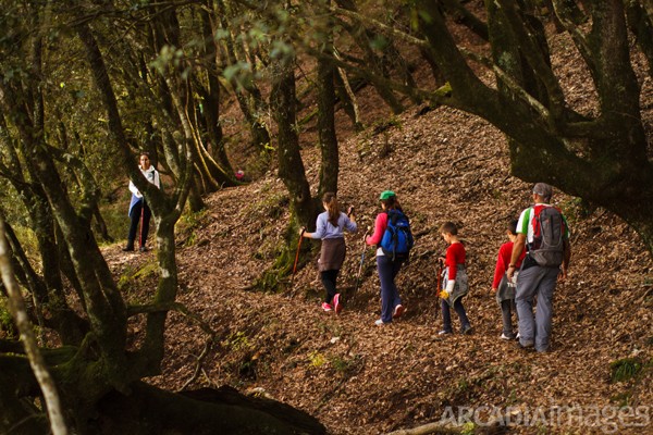 Αχαΐα: Αύριο ο Περίπατος Υγείας στους Καταρράκτες «Ταξιάρχης» Βλασίας