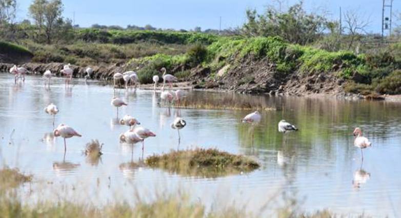 Εκθεση φωτογραφίας της ΟΙΚΙΠΑ: «Η άγρια πανίδα της Ελλάδας»