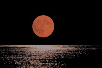 «Ποίηση με την πανσέληνο», στον κήπο του Πολύεδρου