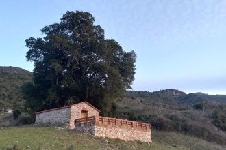 Πολιτιστική εκδήλωση την Κυριακή από τους «ΓΙΑΝΝΙΑΔΕΣ» στην Τριταία