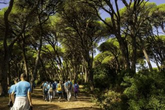 Γιορτή πουλιών στο Εθνικό Πάρκο Υγροτόπων Κοτυχίου – Στροφυλιάς