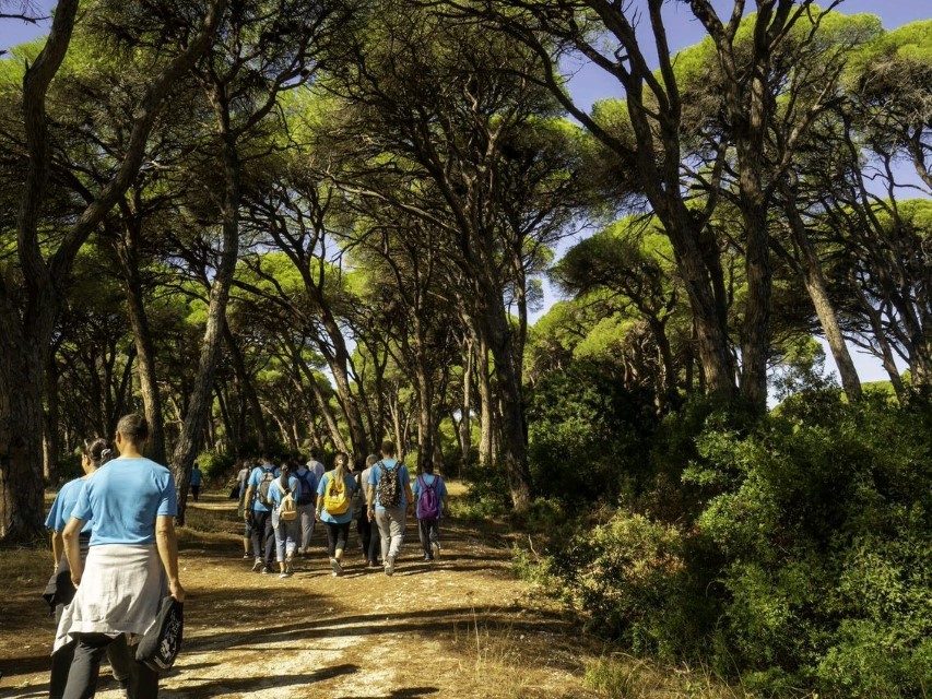 Γιορτή πουλιών στο Εθνικό Πάρκο Υγροτόπων Κοτυχίου – Στροφυλιάς