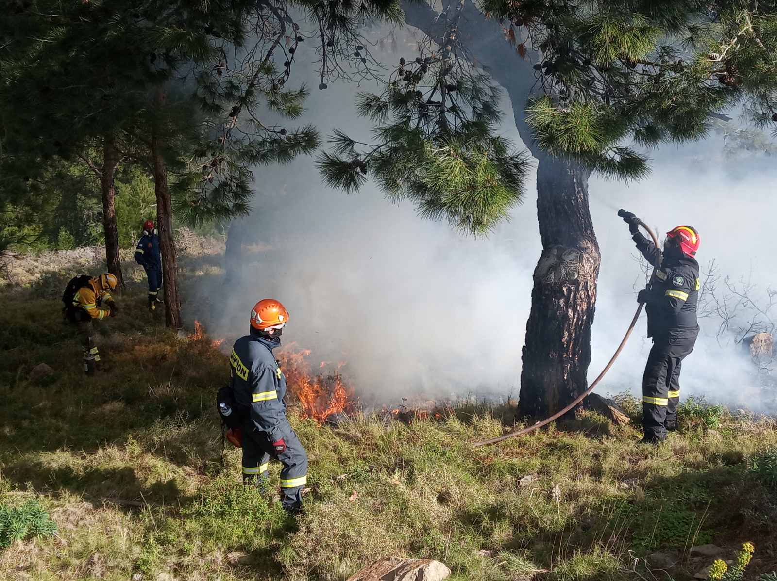 Πάτρα: Κινητοποίηση για φωτιά στο Άνω Καστρίτσι - Άσκηση ετοιμότητας