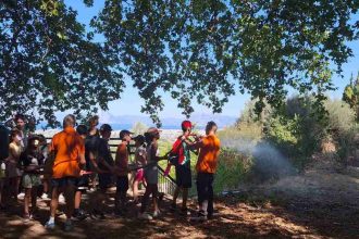 Πεζοπορία των μικρών κατασκηνωτών του Δήμου Πατρέων στο δάσος του Ομπλού – Κεφαλόβρυσου (ΦΩΤΟ)