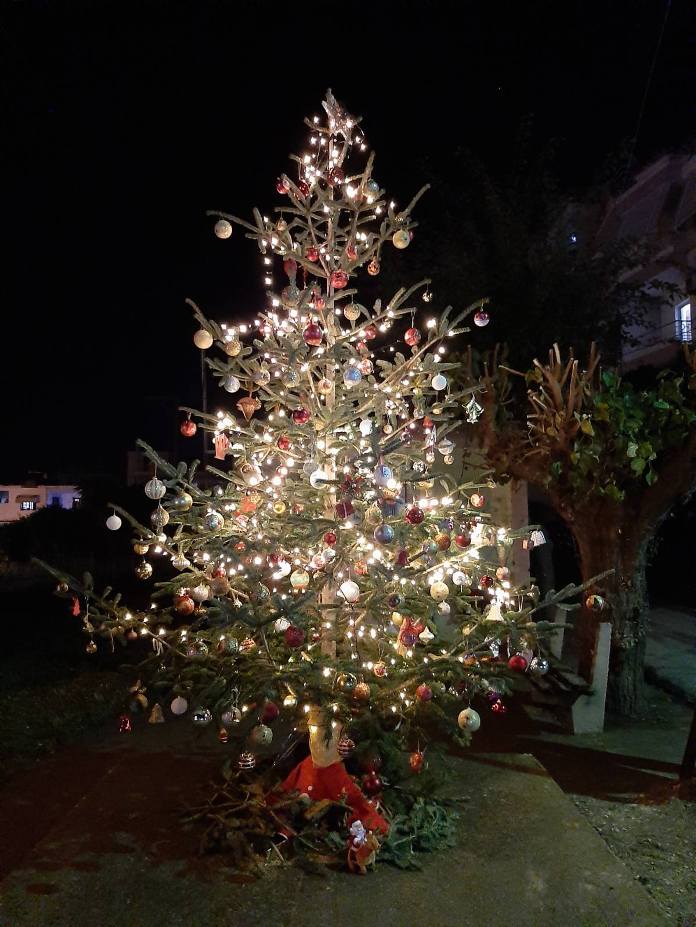 Πάτρα: Στολίστηκε και φέτος το «Δέντρο της Αγυιάς» - ΦΩΤΟ