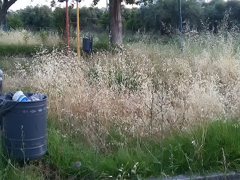 Πλατείες σωστή ζούγκλα στην Πάτρα- Το σχόλιο του αναγνώστη