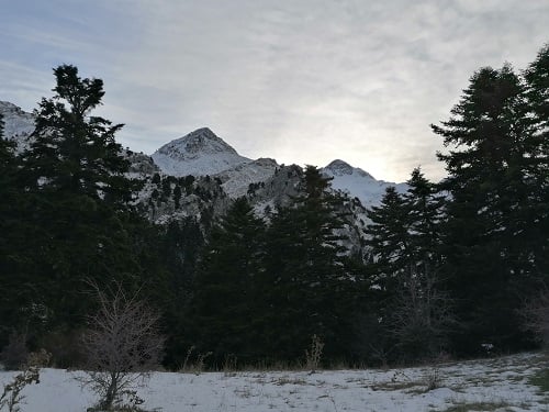 Ο Σύνδεσμος Ελλήνων Ορειβατών Πάτρας "Ωλενός" κόβει την πίτα του