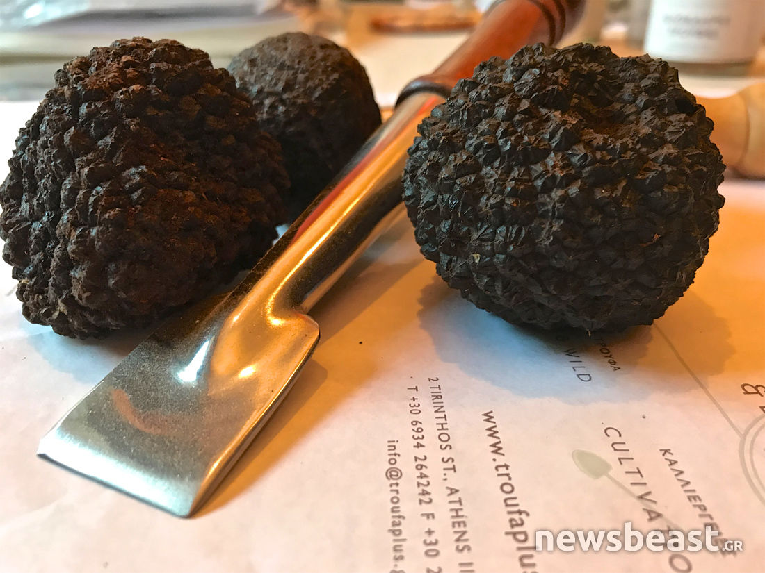 Ο πιο σπάνιος και ακριβός μύκητας που τρώγεται και κοστίζει χιλιάδες ευρώ