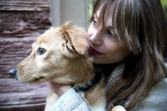 Μπορείτε ή όχι να δώσετε ανθρώπινα φάρμακα στον σκύλο σας; Τι πρέπει να προσέξετε