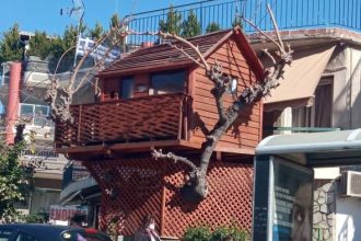 Πάτρα: Το δενδρόσπιτο της οδού Ακρωτηρίου