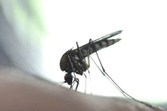 Σε έξαρση ο ιός του Δυτικού Νείλου: 22 νέα κρούσματα, και 2 θάνατοι την πρώτη εβδομάδα του Αυγούστου - Tρεις νόσησαν στην Αχαΐα