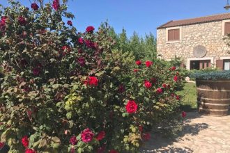 ΙΠΠΟΚΑΜΗΛΟΣ: «Η δική μας αλήθεια για την φιλοζωία»