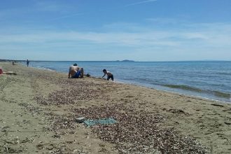 Στην Καλόγρια για το πρώτο μπάνιο! ΦΩΤΟΓΡΑΦΙΕΣ