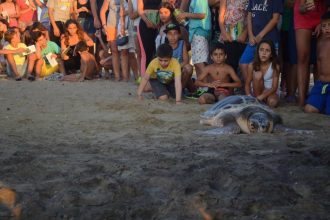 «Η επιστροφή του “Νίκου”! Οι πολίτες στείλανε το περιβαλλοντικό τους μήνυμα για την προστασία της θαλάσσιας χελώνας Caretta caretta»