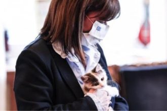Η Κατερίνα Σακελλαροπούλου υιοθέτησε αδέσποτο γατάκι από την Κάρπαθο