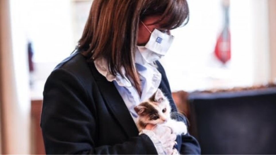 Η Κατερίνα Σακελλαροπούλου υιοθέτησε αδέσποτο γατάκι από την Κάρπαθο