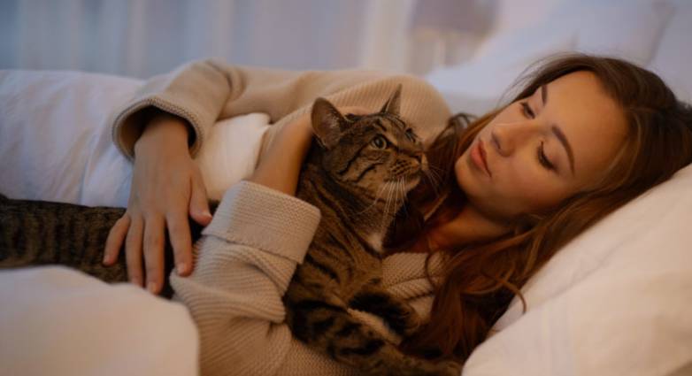 7 πράγματα που μπορείτε να κάνετε για να θέλει η απόμακρη γάτα σας αγκαλιές