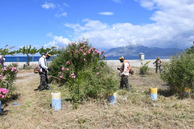 Πάτρα: Καθαρίζεται το Πλατανόδασος - ΦΩΤΟ