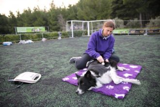 Τι είναι η θεραπεία Tecar και πώς βελτιώνει την υγεία των ζώων