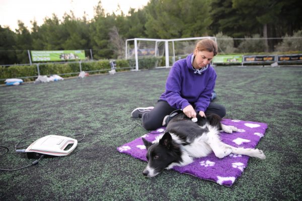 Τι είναι η θεραπεία Tecar και πώς βελτιώνει την υγεία των ζώων