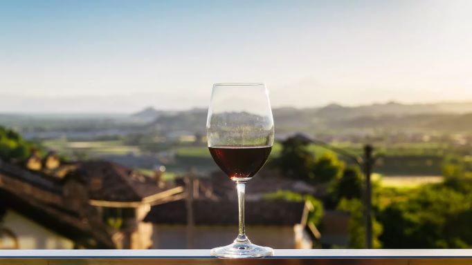 Ελληνικές ερυθρές ποικιλίες: Τα πάντα για τη μαυροδάφνη