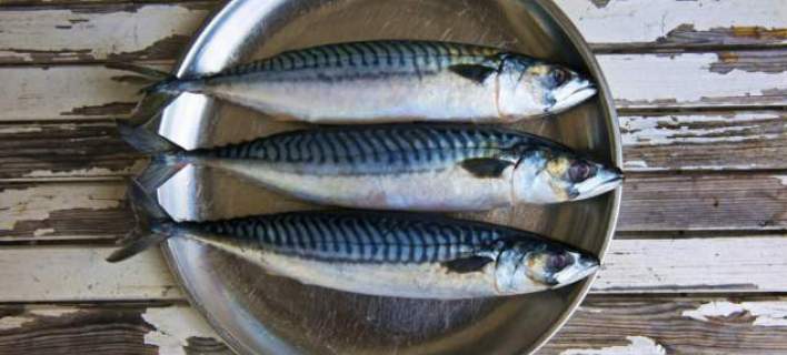 Κολιός στον φούρνο, λαδολέμονο