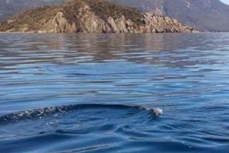 Πάτρα: Συμμετοχή του "ΝΗΡΕΑ" στο FORUM Ανάπτυξης "Έξυπνες λύσεις παντού"