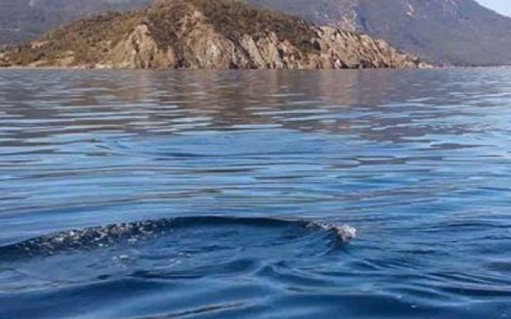 Πάτρα: Συμμετοχή του "ΝΗΡΕΑ" στο FORUM Ανάπτυξης "Έξυπνες λύσεις παντού"