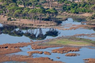 Ο Φορέας Διαχείρισης Υγροτόπων Κοτυχίου - Στροφυλιάς για την Παγκόσμια Ημέρα Περιβάλλοντος - ΦΩΤΟ