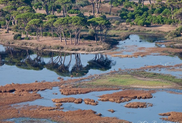 Ο Φορέας Διαχείρισης Υγροτόπων Κοτυχίου - Στροφυλιάς για την Παγκόσμια Ημέρα Περιβάλλοντος - ΦΩΤΟ