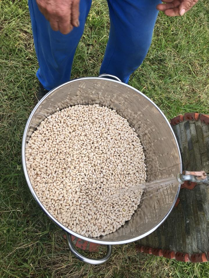 Η Καλογερική ...φασολάδα από τον Αλισσό, ζωντανά στον ΣΚΑΙ! ΦΩΤΟ