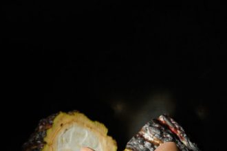 Κρέμα σοκολάτας σε μπολ